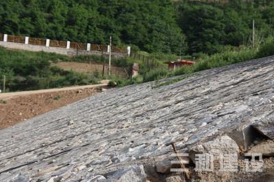 楊家溝水庫除險加固